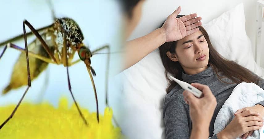 Potential Complications of Malaria You Should Know About
